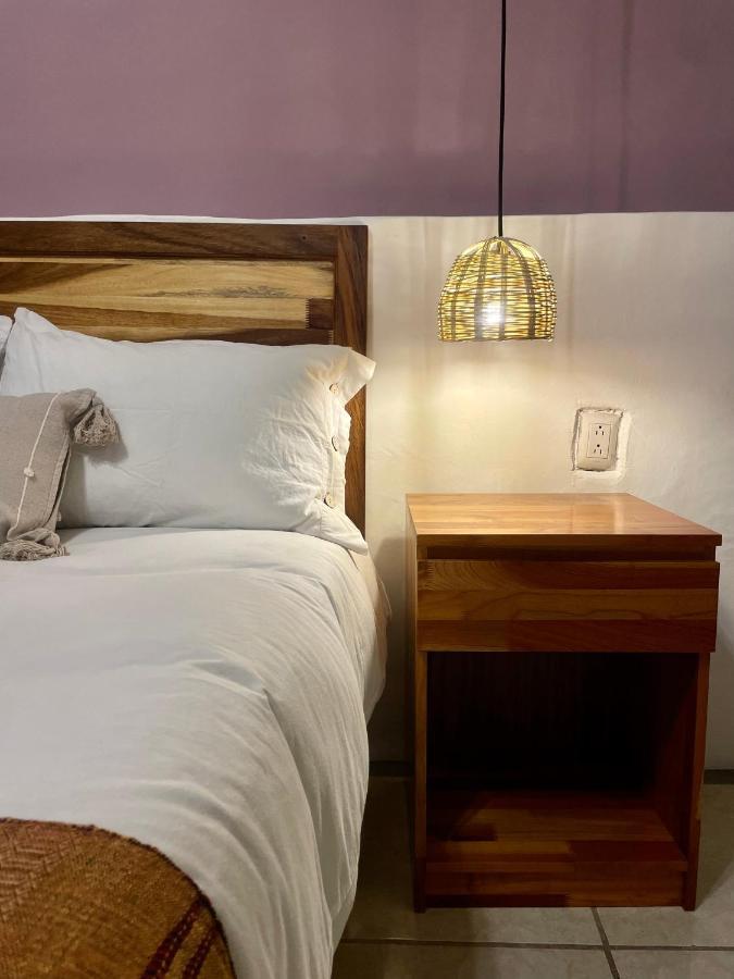 Cute Apart Excellently Located Apartment Oaxaca ภายนอก รูปภาพ