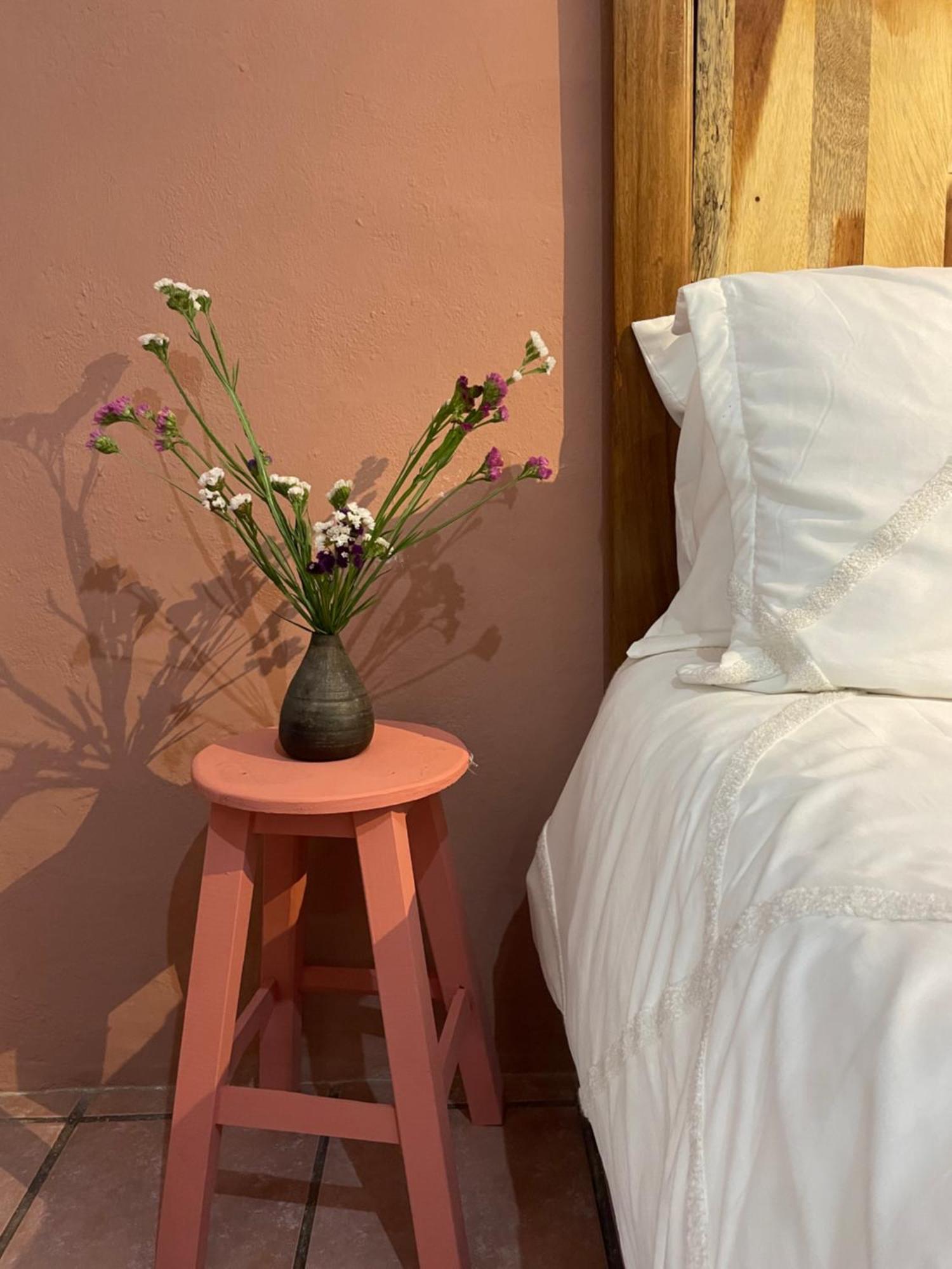 Cute Apart Excellently Located Apartment Oaxaca ภายนอก รูปภาพ