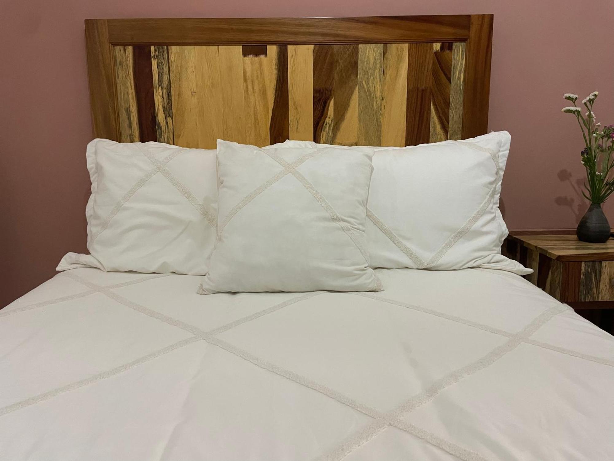 Cute Apart Excellently Located Apartment Oaxaca ภายนอก รูปภาพ
