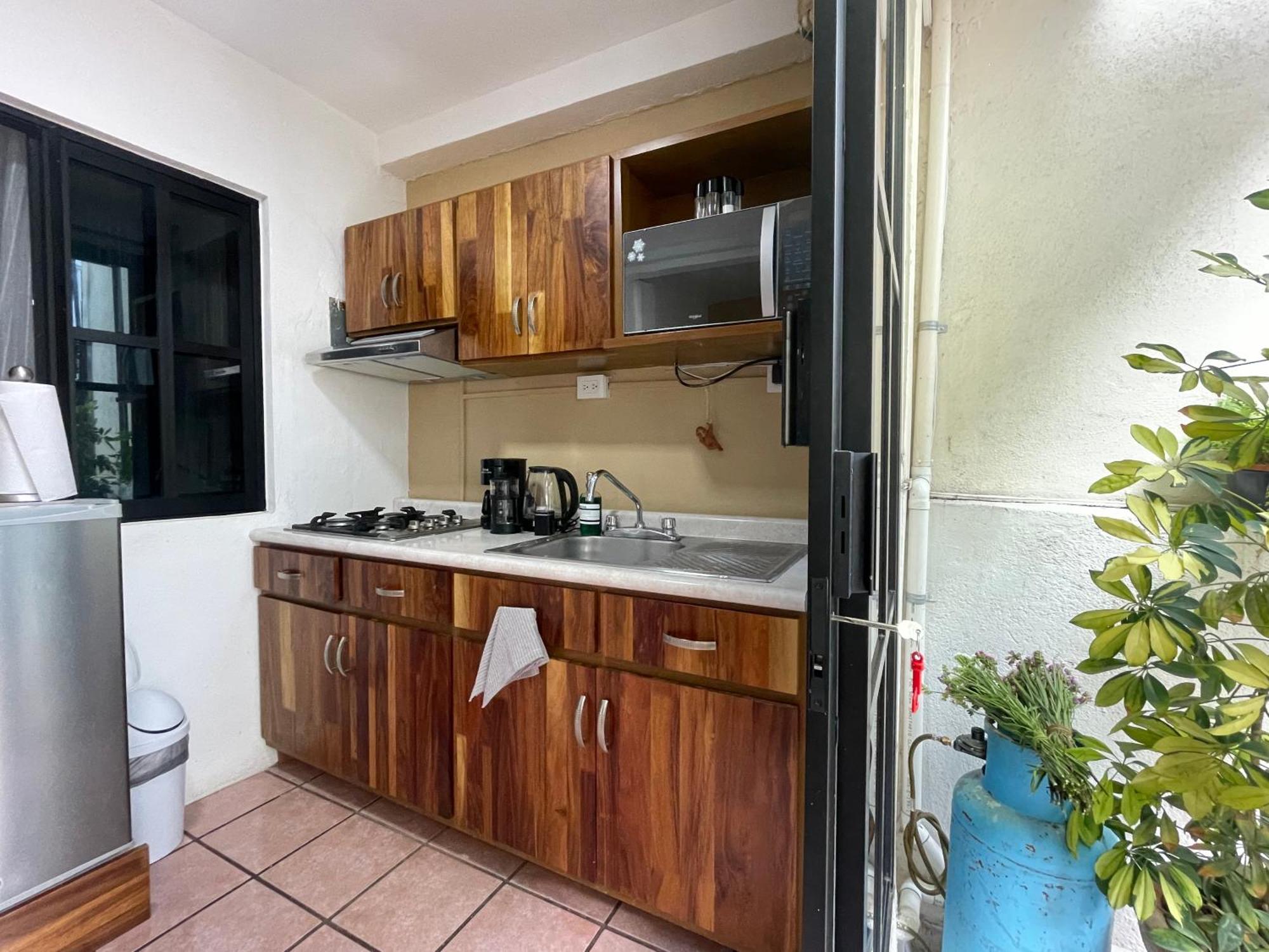 Cute Apart Excellently Located Apartment Oaxaca ภายนอก รูปภาพ