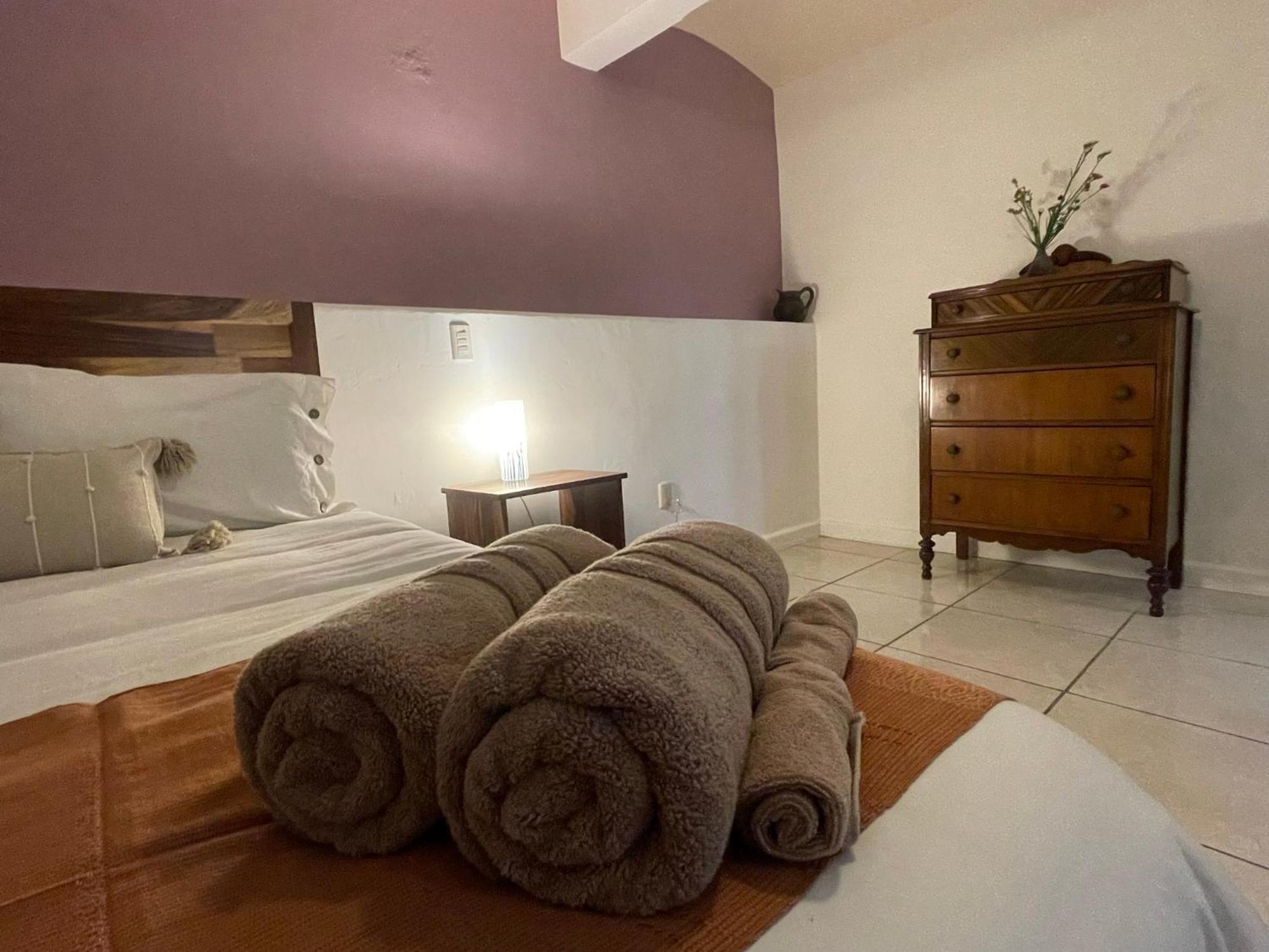 Cute Apart Excellently Located Apartment Oaxaca ภายนอก รูปภาพ